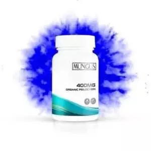 Micro Dose | 400MG Organic Psilocybin