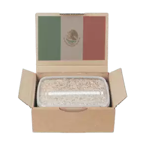 Mondo Grow Kit Mexican