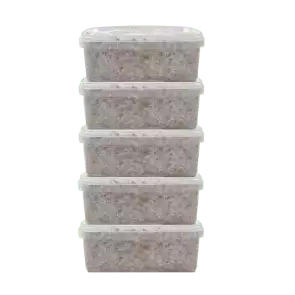 Fresh Mushrooms Grow Kit Discount 5 Pack